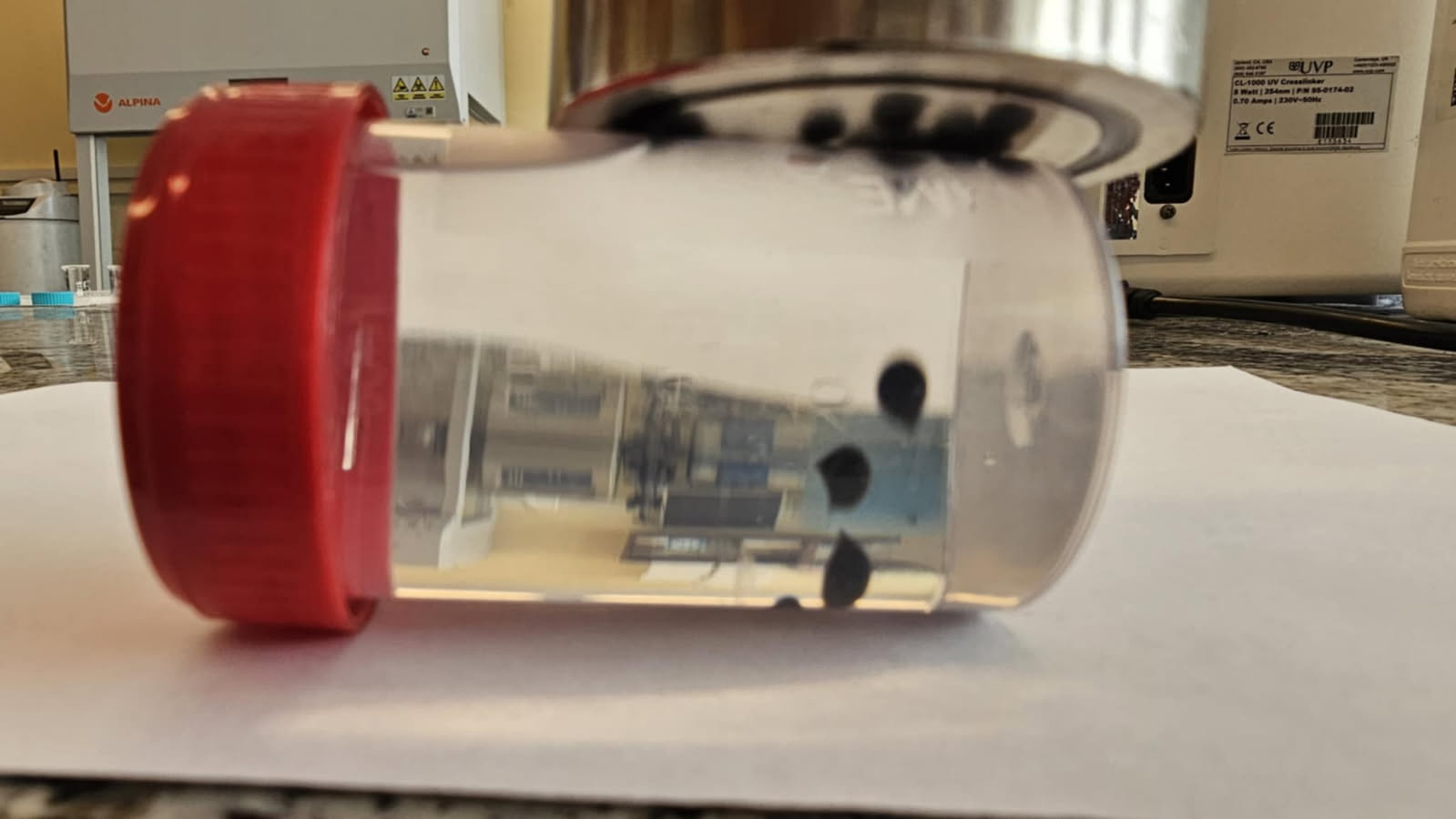 Sposób otrzymywania biokompozytu o właściwościach magnetycznych - Dzień Wynalazków Sposób otrzymywania biokompozytu o właściwościach magnetycznych - obrazek 2