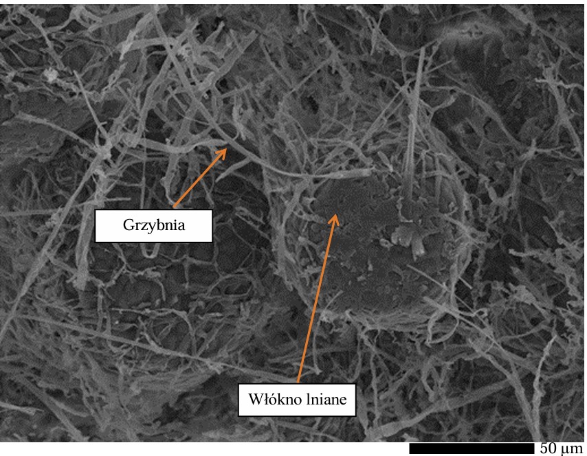 Sposób otrzymywania porowatego kompozytu geopolimerowego, zbrojonego włóknami naturalnymi - Dzień Wynalazków Sposób otrzymywania porowatego kompozytu geopolimerowego, zbrojonego włóknami naturalnymi - obrazek 2