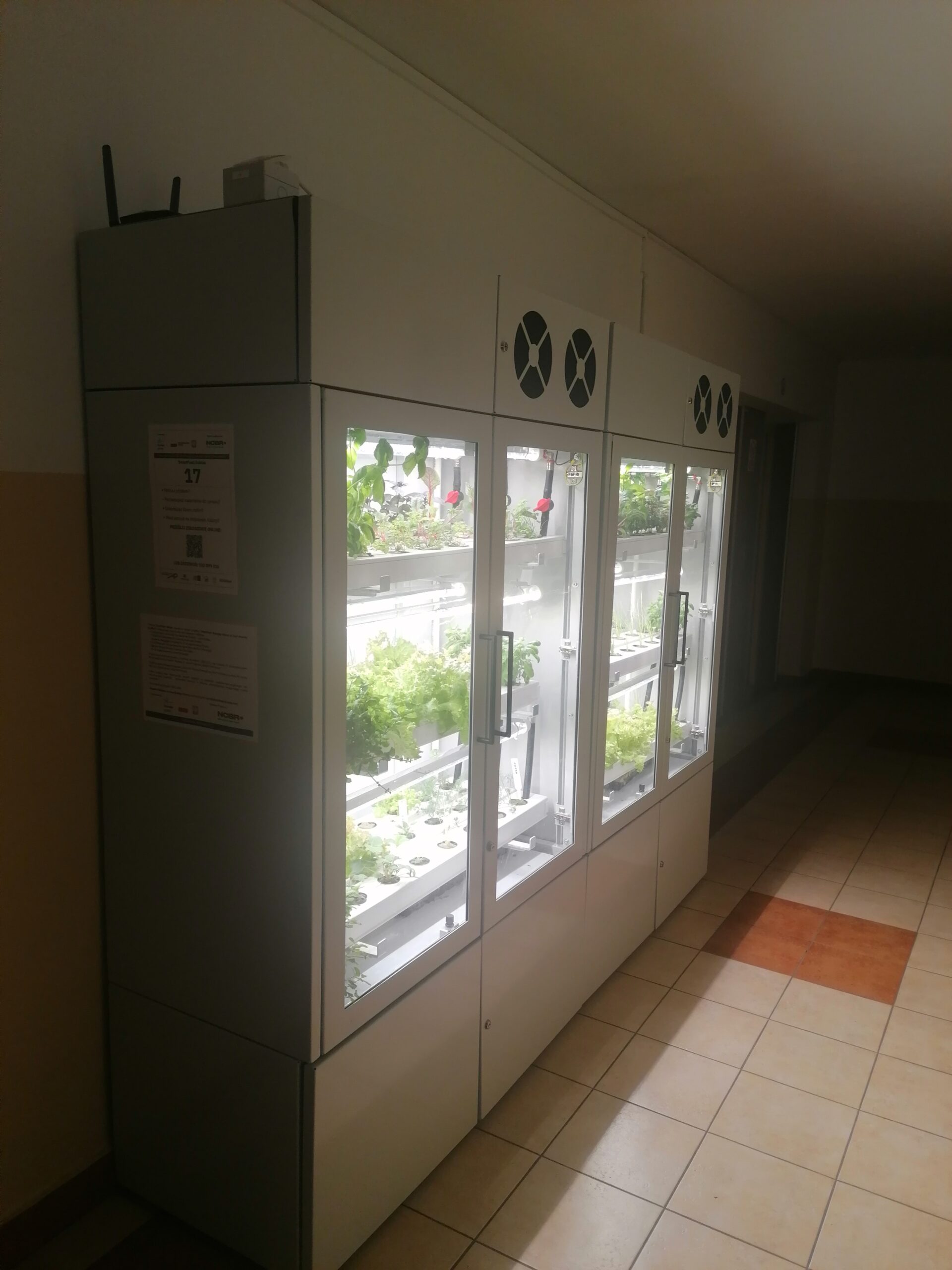 System pozyskiwania, oczyszczania i dystrybucji deszczówki dla upraw hydroponicznych prowadzonych na klatkach schodowych - Dzień Wynalazków System pozyskiwania, oczyszczania i dystrybucji deszczówki dla upraw hydroponicznych prowadzonych na klatkach schodowych - obrazek 3